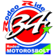 Suzuki GSX 250 R 17:00